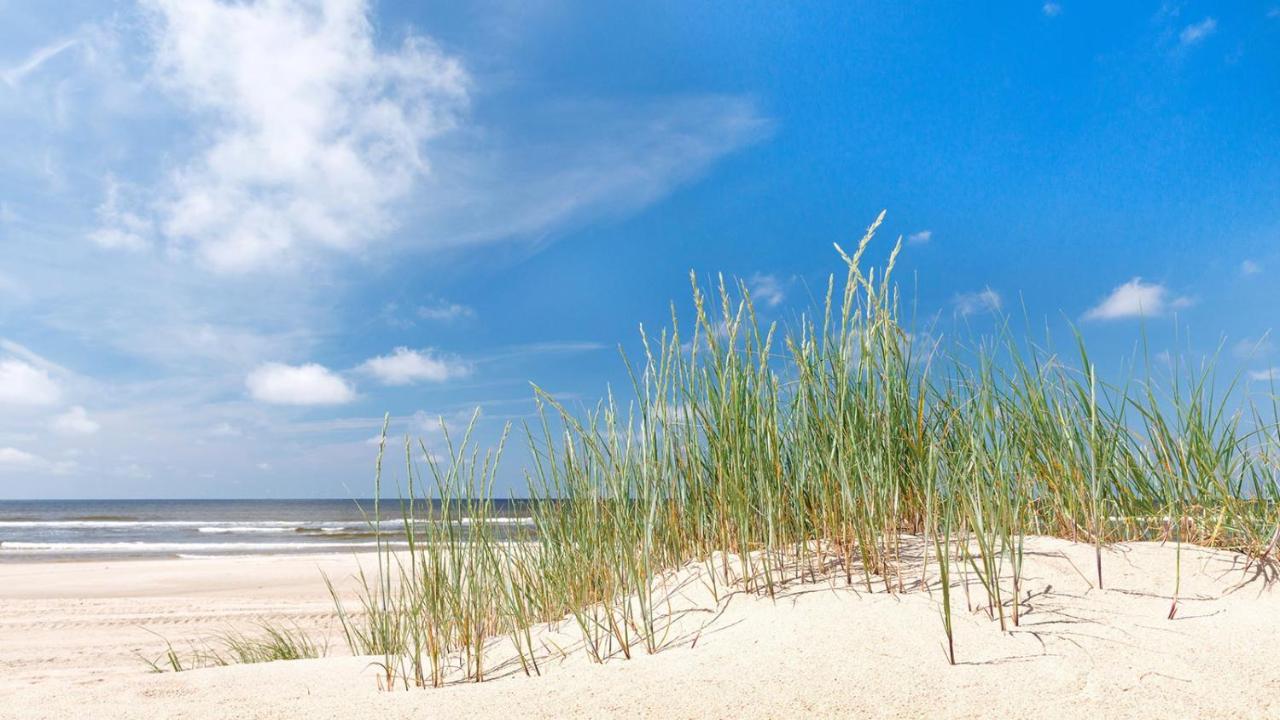 Direct Oceanfront Private Villa Overlooking Pool/Beach - South Forest Beach - Right Next To Coligny Plaza Hilton Head Island Eksteriør bilde